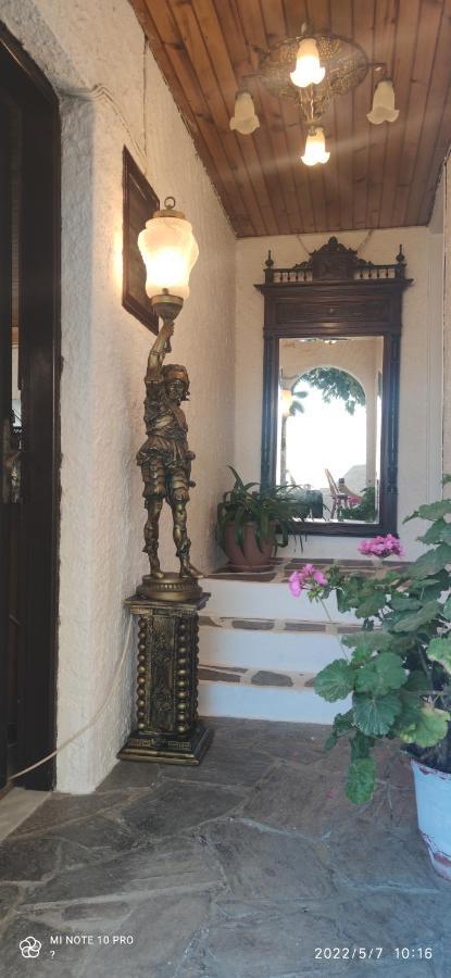 Odysseas Hotel Samos Eksteriør billede